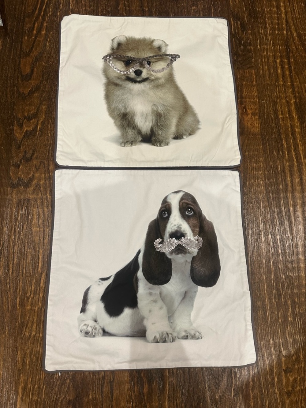 2 NWOT PBteen Pottery Barn ASPCA Party Animals Sequin pillow covers